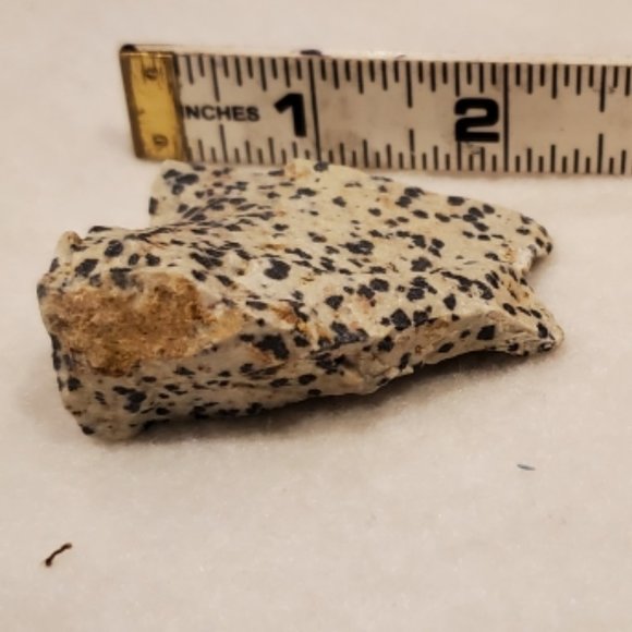 Natural Raw Dalmatian Jasper Gemstone #1 Stone - Picture 5 of 8